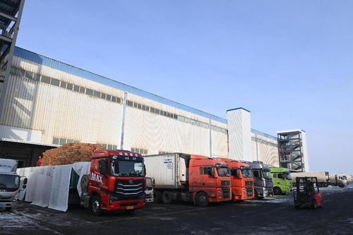 新疆海鴻國際食品物流港匯通智冷4萬噸倉庫試運(yùn)行，打造國際冷鏈物流新樞紐